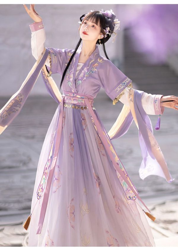 Robe Hanfu violette chinoise asiatique pour femmes, vêtements pour femmes dans la Chine ancienne, vêtements de la dynastie Song 2 Robe Hanfu violette chinoise asiatique pour femmes | Vêtements pour femmes dans la Chine ancienne | Vêtements de la dynastie Song