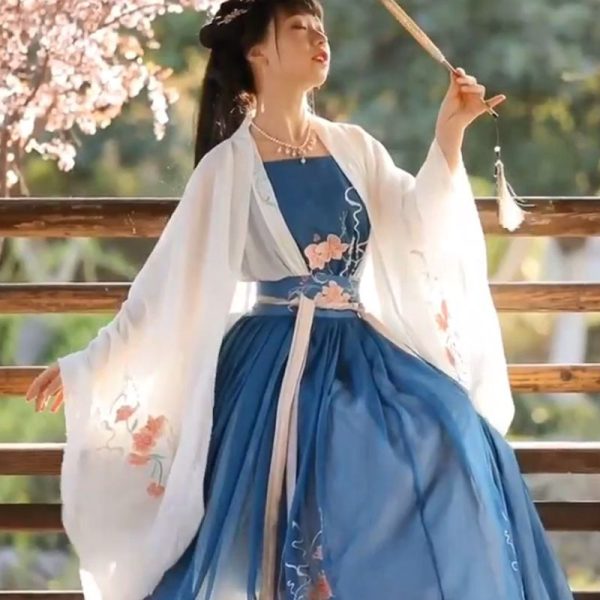 Tenue Hanfu traditionnelle chinoise Tenue chinoise ancienne Tenue de la dynastie Tang bleue et blanche 4 Tenue Hanfu chinoise traditionnelle | Tenue chinoise ancienne | Tenue Dynastie Tang Bleue et Blanche