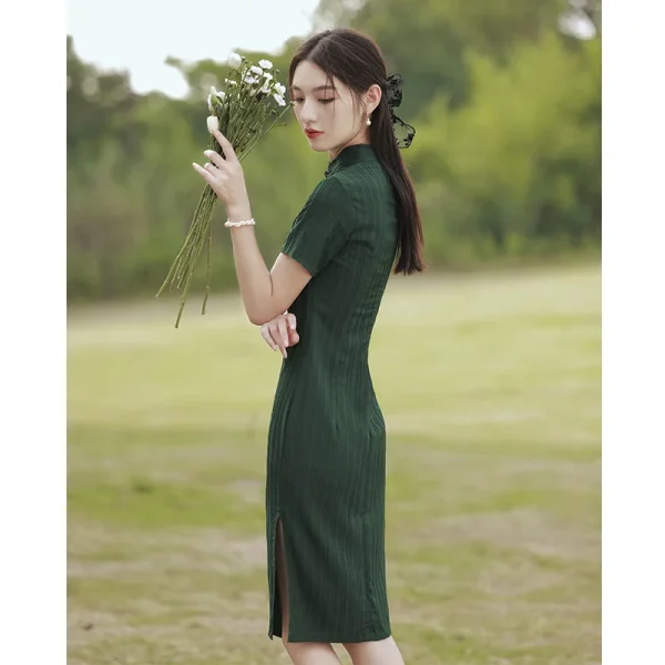 Kf Sc8ba40572b164cc5a8c9cadebe1e40f9d 2024 Green Retro Cheongsam Women Short Sleeve Traditional Vintage Dress Elegant Costumes Slim Embroidery Qipao Chinoise Green Retro Cheongsam Women Short Sleeve Traditional Vintage Dress Elegant Costumes Slim Embroidery Qipao