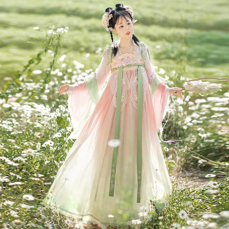 Gradient Pink Women Gown Set Traditional Chinese Dress Hanfu Prom Formal Birthday Christmas Gift Bea The Significance of Pink in Hanfu: A Historical Perspective